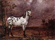 paulus potter The Spotted Horse oil on canvas